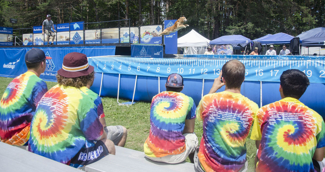 062215-nws-woofstock04.jpg